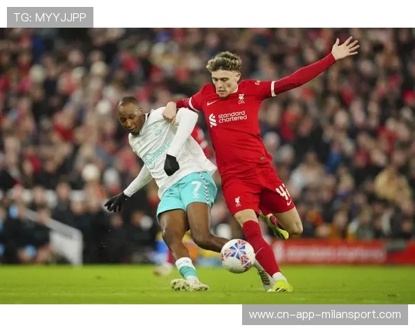 本菲卡后防核心受各方关注