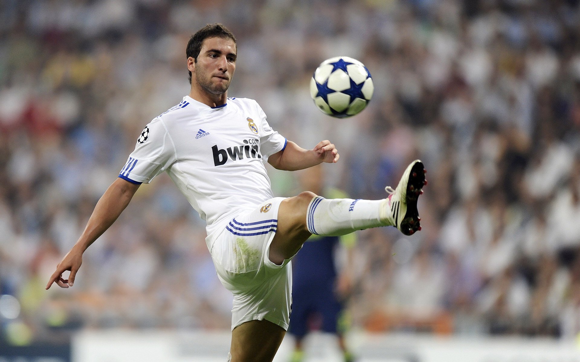 五大联赛热门新星是否存在被低估风险,五大联赛的球星