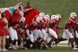 全国城际定向越野赛青少年组吸引众多参赛者，全国定向越野锦标赛